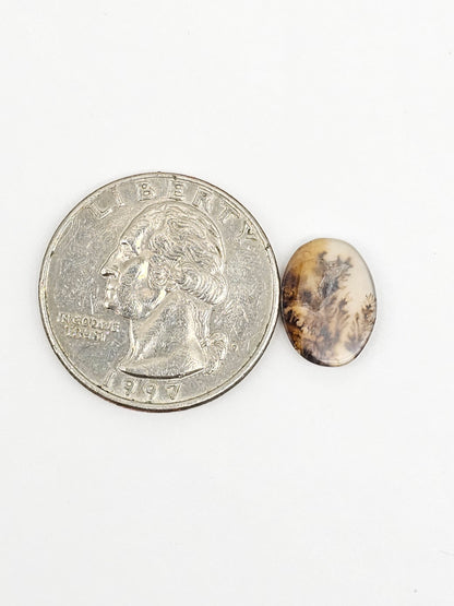Scenic Dendritic Agate Cabochon – Natural Landscape Stone