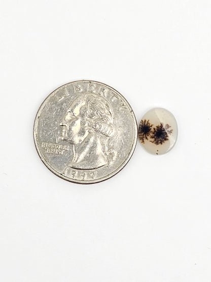 Scenic Dendritic Agate Cabochon – Natural Landscape Stone