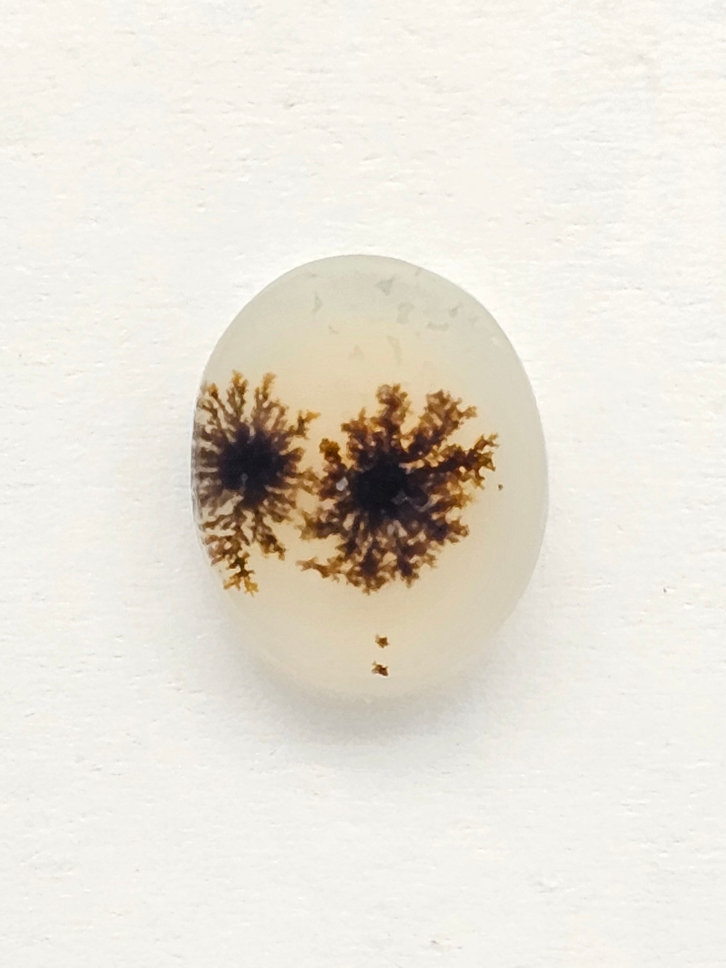 Scenic Dendritic Agate Cabochon – Natural Landscape Stone