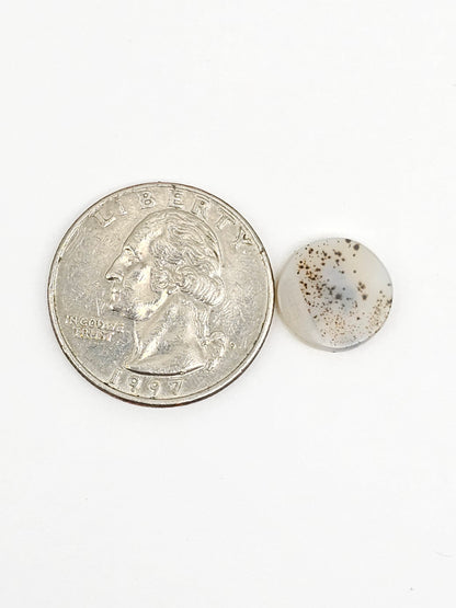 Scenic Dendritic Agate Cabochon – Natural Landscape Stone