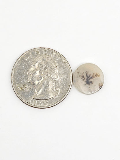 Scenic Dendritic Agate Cabochon – Natural Landscape Stone