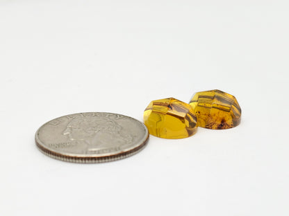 Amber Faceted Cabochon Pair