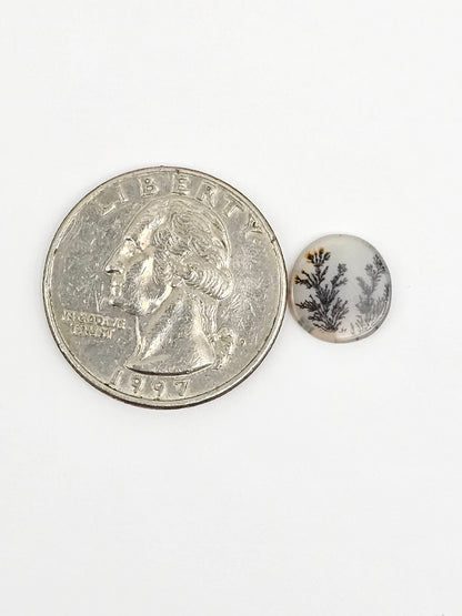 Scenic Dendritic Agate Cabochon – Natural Landscape Stone