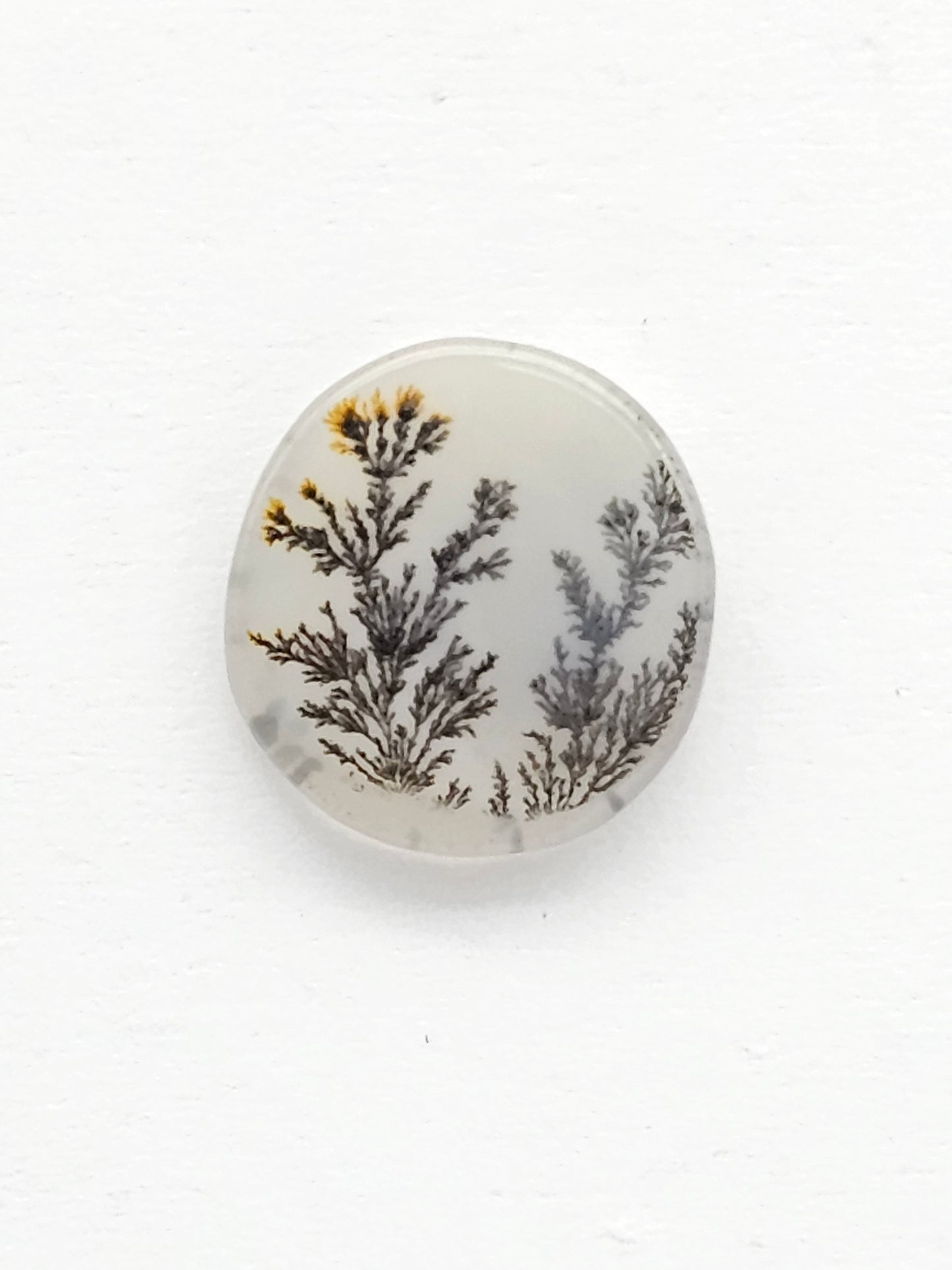 Scenic Dendritic Agate Cabochon – Natural Landscape Stone