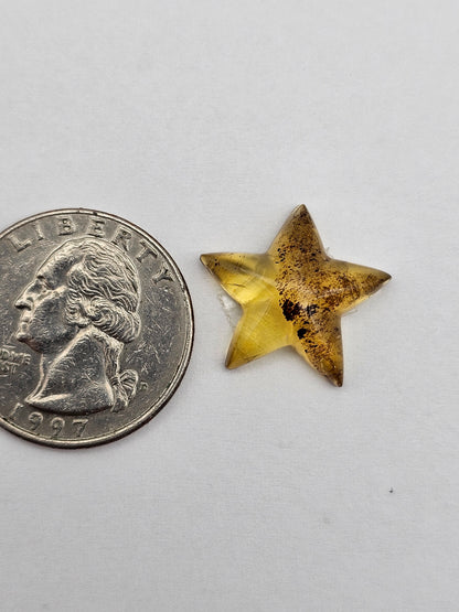 Amber authentic star cabochon large