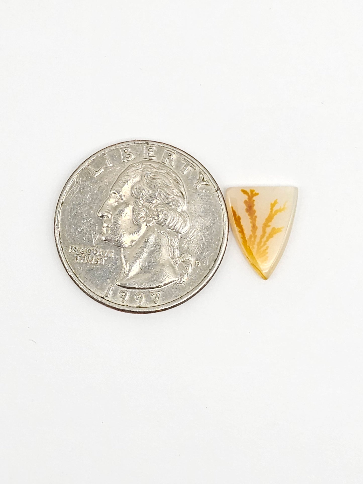 Scenic Dendritic Agate Cabochon – Natural Landscape Stone