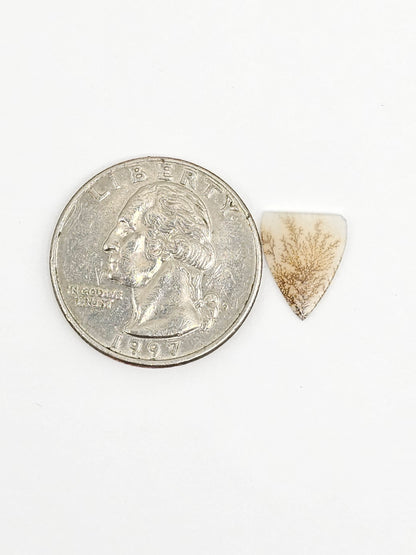 Scenic Dendritic Agate Cabochon – Natural Landscape Stone