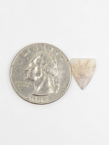 Scenic Dendritic Agate Cabochon – Natural Landscape Stone