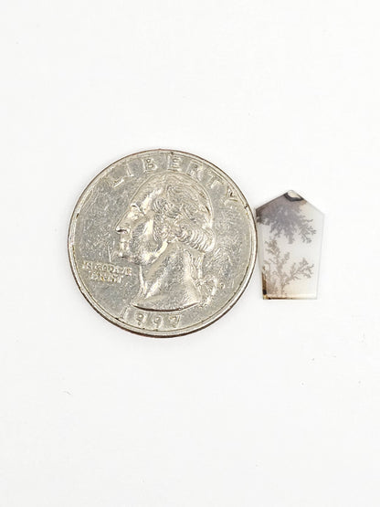 Scenic Dendritic Agate Cabochon – Natural Landscape Stone
