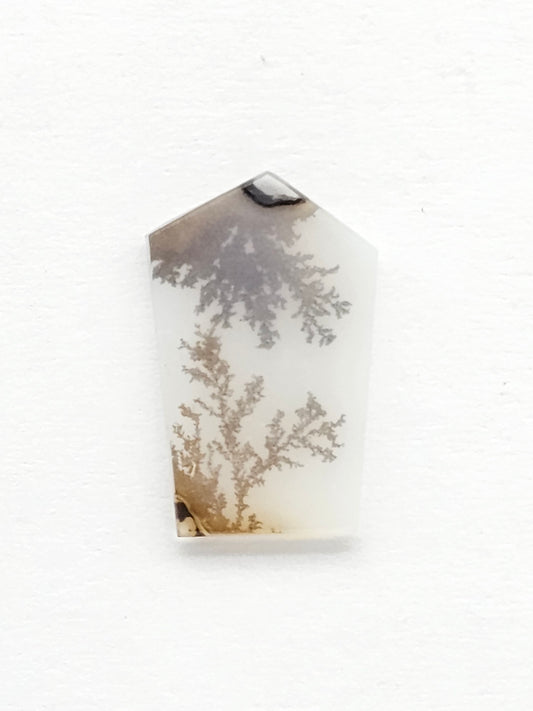 Scenic Dendritic Agate Cabochon – Natural Landscape Stone