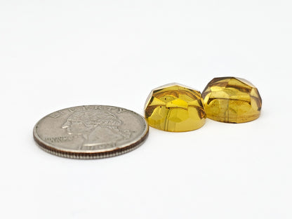 Amber Faceted Cabochon Pair