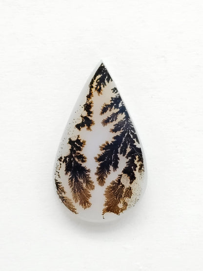 Scenic Dendritic Agate Cabochon – Natural Landscape Stone
