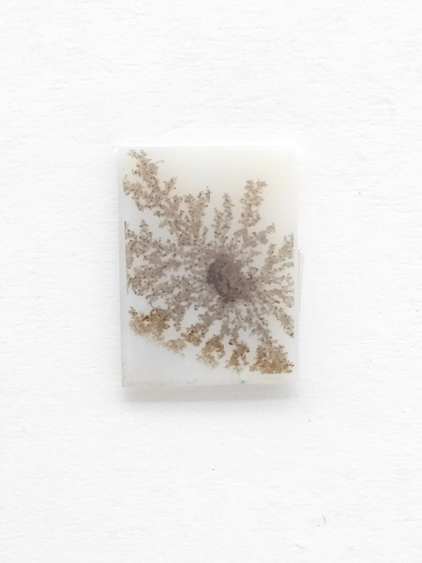 Scenic Dendritic Agate Cabochon – Natural Landscape Stone