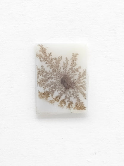 Scenic Dendritic Agate Cabochon – Natural Landscape Stone
