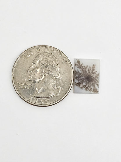 Scenic Dendritic Agate Cabochon – Natural Landscape Stone