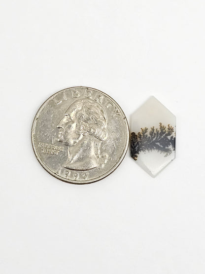 Scenic Dendritic Agate Cabochon – Natural Landscape Stone