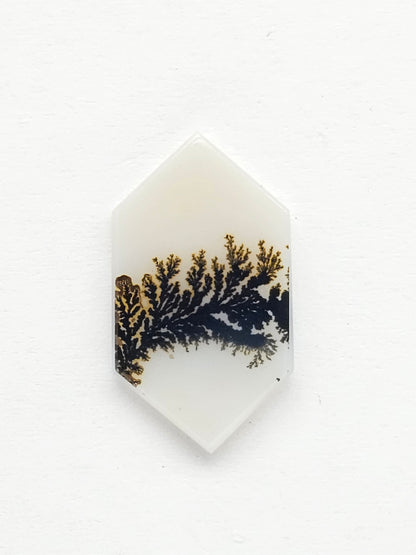 Scenic Dendritic Agate Cabochon – Natural Landscape Stone