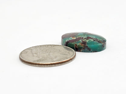 Mexican Chrysocolla Oval Cabochon – Blue Green Natural Stone