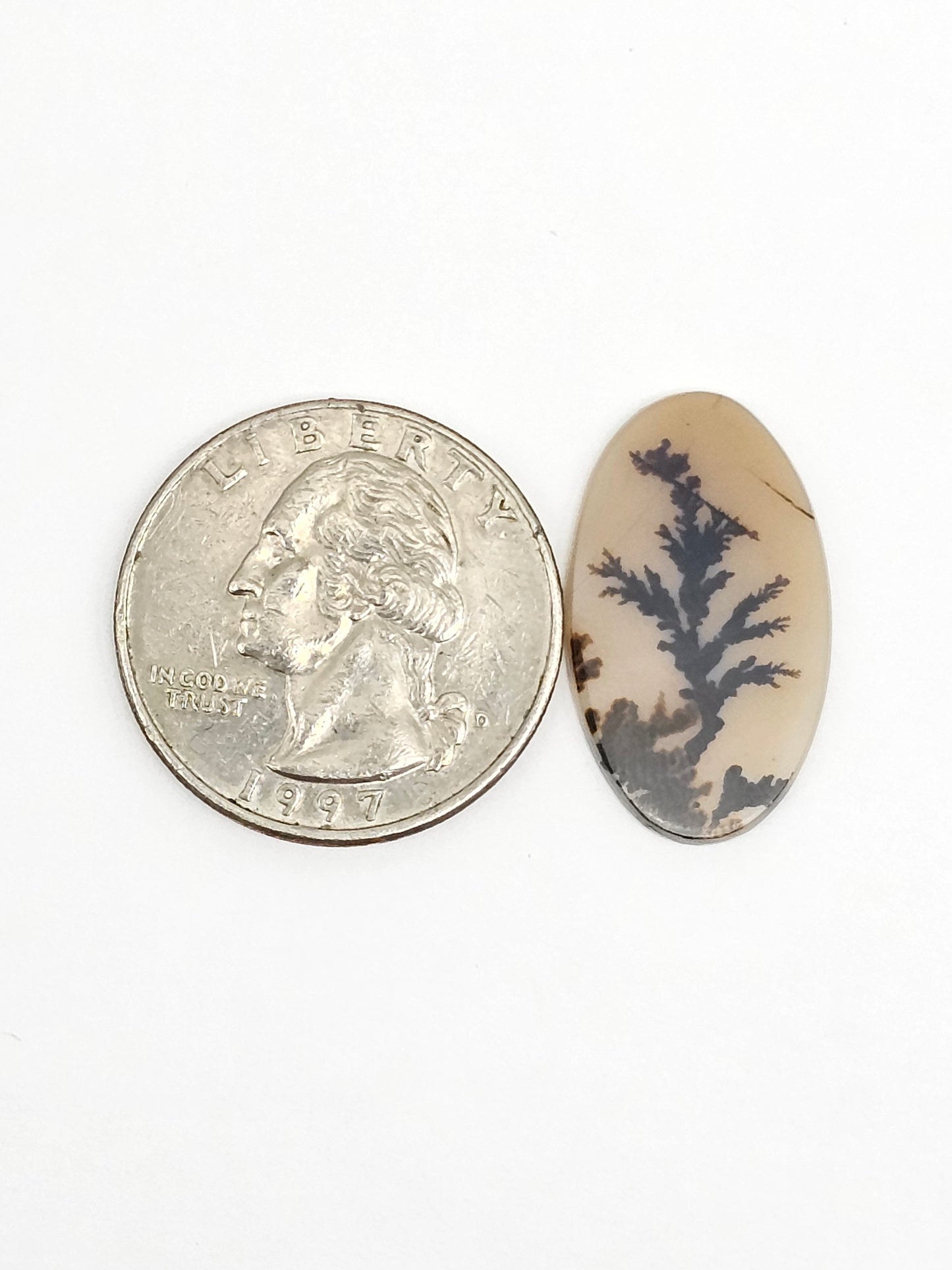 Scenic Dendritic Agate Cabochon – Natural Landscape Stone