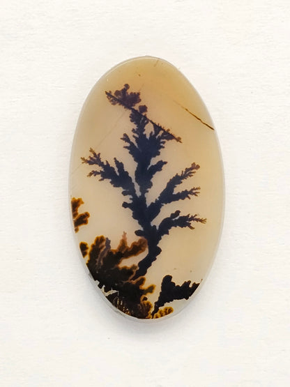 Scenic Dendritic Agate Cabochon – Natural Landscape Stone