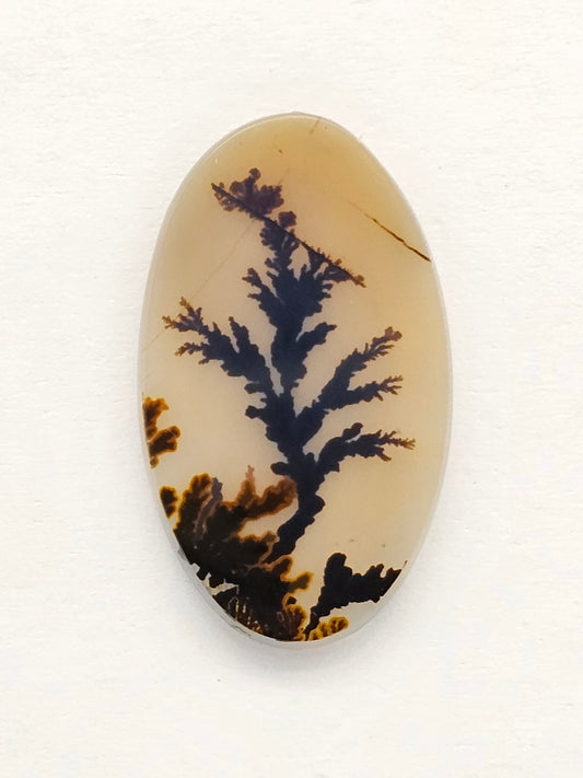 Scenic Dendritic Agate Cabochon – Natural Landscape Stone