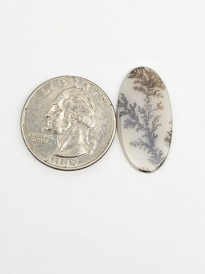 Scenic Dendritic Agate Cabochon – Natural Landscape Stone