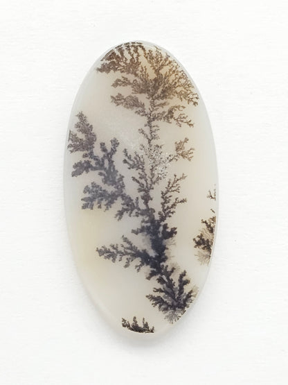 Scenic Dendritic Agate Cabochon – Natural Landscape Stone