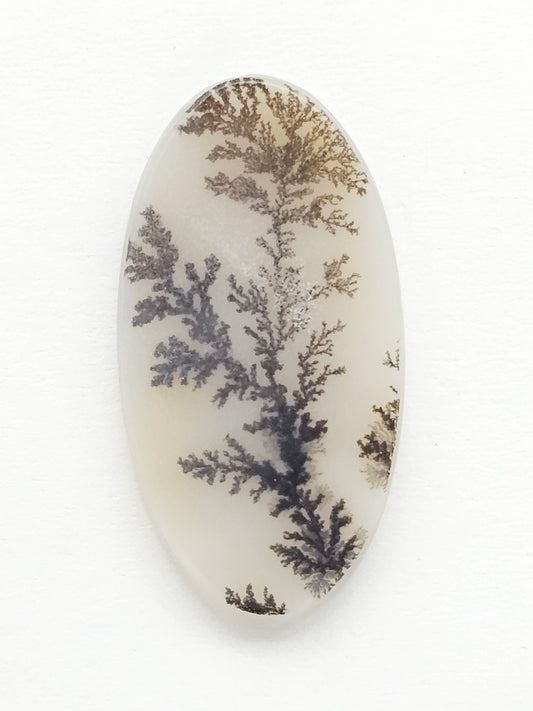 Scenic Dendritic Agate Cabochon – Natural Landscape Stone