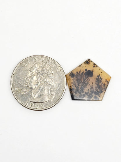Scenic Dendritic Agate Cabochon – Natural Landscape Stone