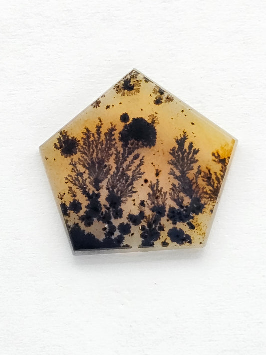 Scenic Dendritic Agate Cabochon – Natural Landscape Stone