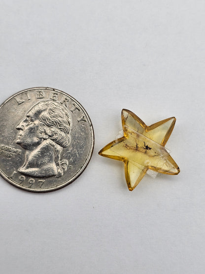 Amber authentic star cabochon large