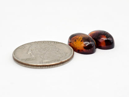 Amber Red Cabochon Pair