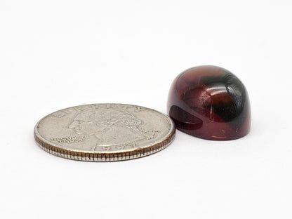 Amber Red Cabochon