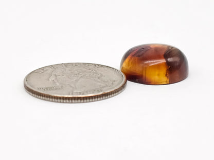 Amber Red Cabochon