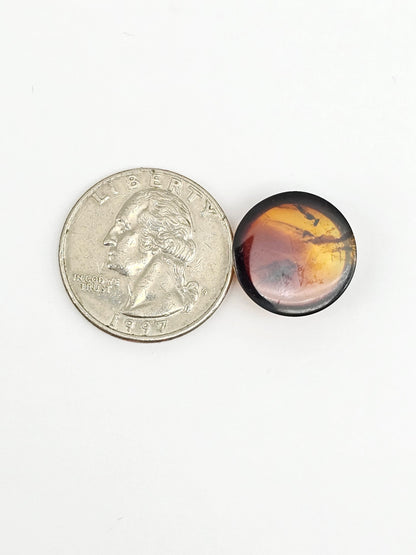 Amber Red Cabochon