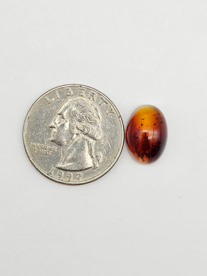 Amber Red Cabochon
