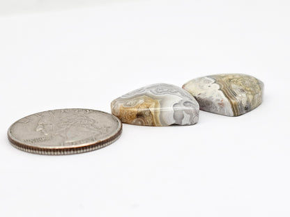 Mexican Crazy Lace Agate Pair Cabochons