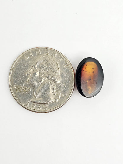Amber Red Cabochon