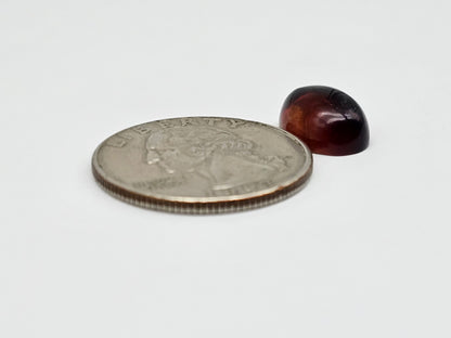 Amber Red Cabochon