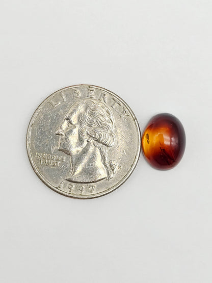 Amber Red Cabochon