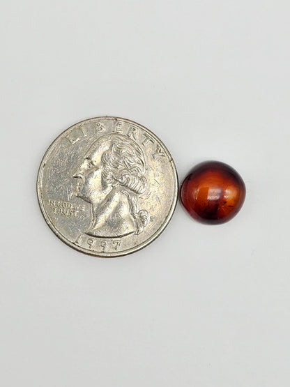 Amber Red Cabochon