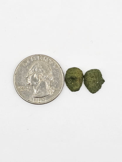 Tabasco Geode Cabochon Pair | Natural Mexican Geode