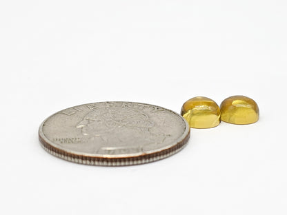 Amber cabochon pair | Artisan Cut Gemstone