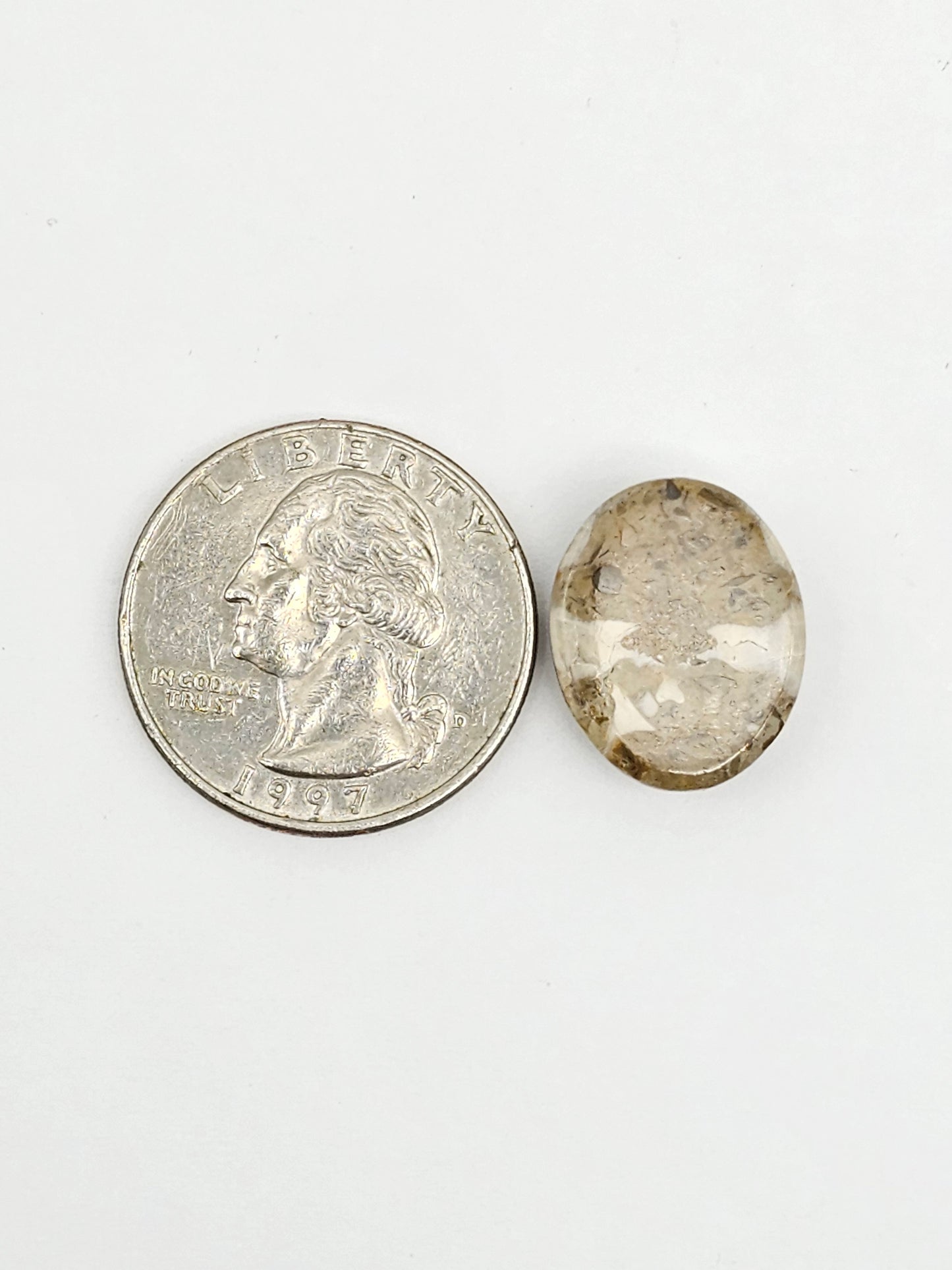 Sea Urchin (Sand Dollar) Fossil Cabochon – Mexican Echinoid