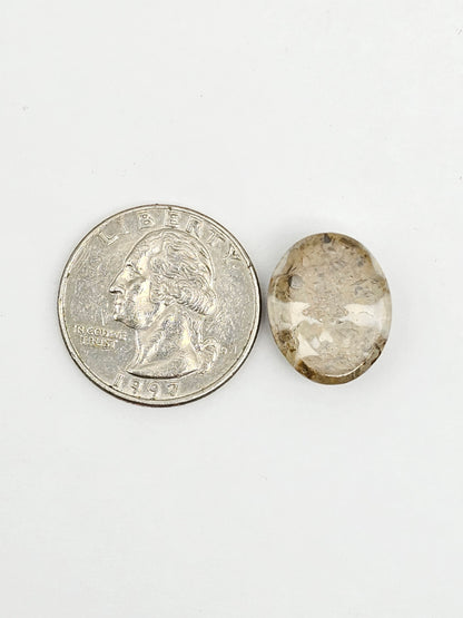 Sea Urchin (Sand Dollar) Fossil Cabochon – Mexican Echinoid