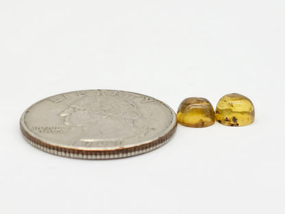 Amber cabochon pair | Artisan Cut Gemstone