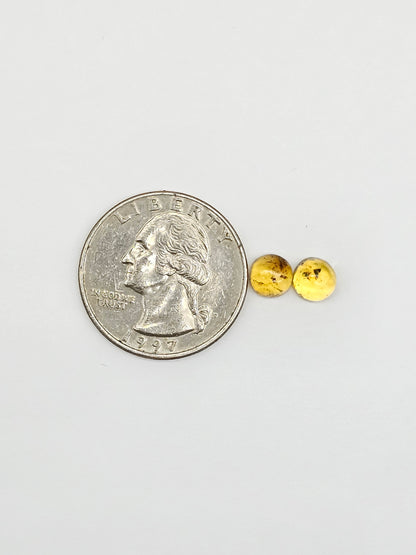 Amber cabochon pair | Artisan Cut Gemstone