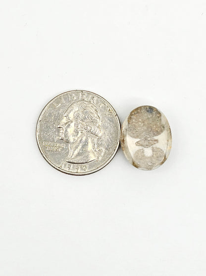 Sea Urchin (Sand Dollar) Fossil Cabochon – Mexican Echinoid
