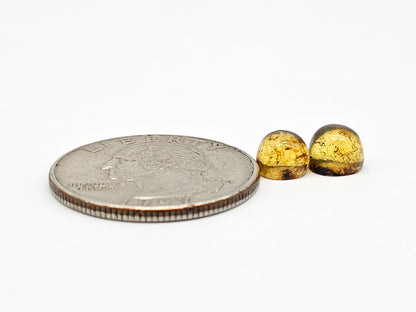 Amber cabochon pair | Artisan Cut Gemstone
