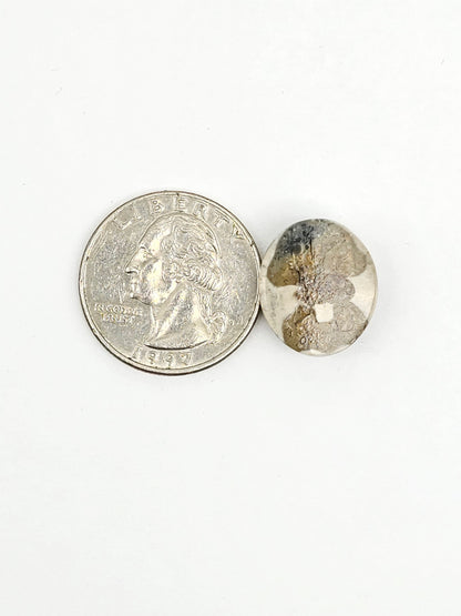 Sea Urchin (Sand Dollar) Fossil Cabochon – Mexican Echinoid